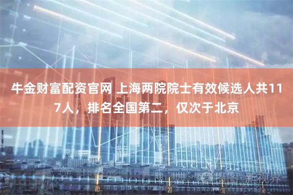 牛金财富配资官网 上海两院院士有效候选人共117人，排名全国第二，仅次于北京