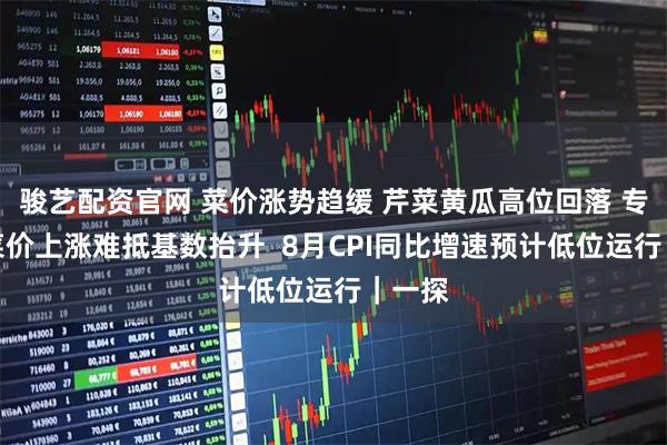 骏艺配资官网 菜价涨势趋缓 芹菜黄瓜高位回落 专家：菜价上涨难抵基数抬升  8月CPI同比增速预计低位运行｜一探